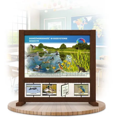 SBm-BEW - Bioróżnorodność w ekosystemie wodnym kolor brąz