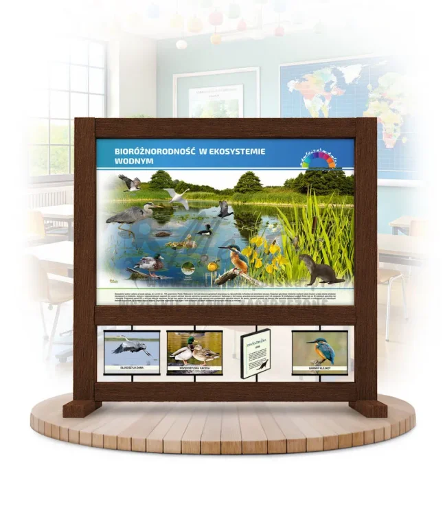 SBm-BEW - Bioróżnorodność w ekosystemie wodnym kolor brąz