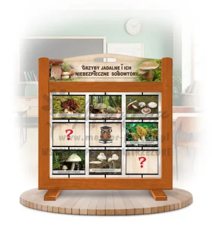 Pamięciówka (gra mobilna) - Grzyby jadalne i ich niebezpieczne sobowtóry kolor dąb