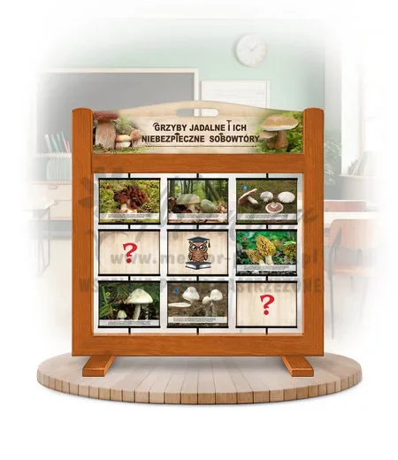 Pamięciówka (gra mobilna) - Grzyby jadalne i ich niebezpieczne sobowtóry kolor dąb