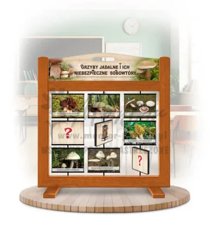 Pamięciówka (gra mobilna) - Grzyby jadalne i ich niebezpieczne sobowtóry kolor dąb