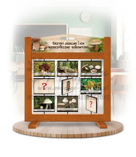 Pamięciówka (gra mobilna) - Grzyby jadalne i ich niebezpieczne sobowtóry kolor dąb