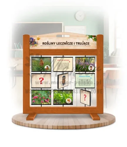 Pamięciówka (gra mobilna) - Rośliny lecznicze i trujące kolor dąb