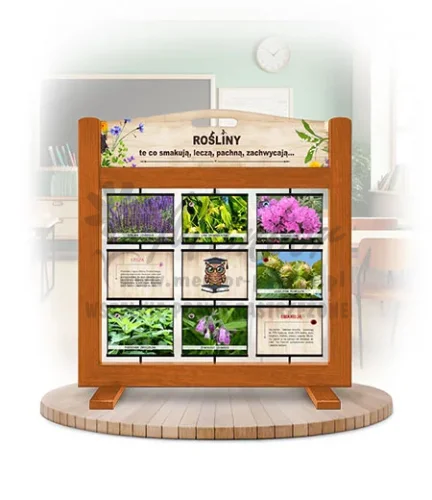 Pamięciówka (gra mobilna) - Rośliny - te co smakują, leczą, pachną, zachwycają kolor dąb