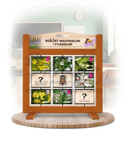 Pamięciówka (gra mobilna) - Rośliny nektarodajne i pyłkodajne kolor dąb