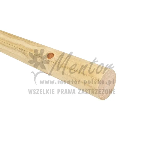 Słup drewniany/palisada 6/300 cm