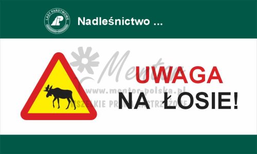 Tablica ostrzegawcza - uwaga na łosie, przeznaczona dla lasów państwowych
