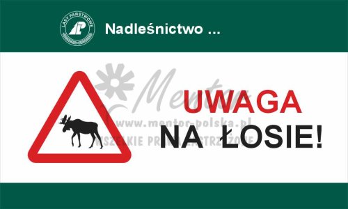 Tablica ostrzegawcza - uwaga na łosie, przeznaczona dla lasów państwowych