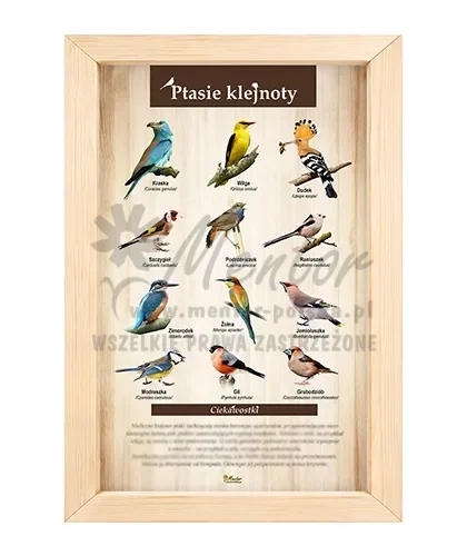 Tablica - Ptasie klejnoty_bez laminatu