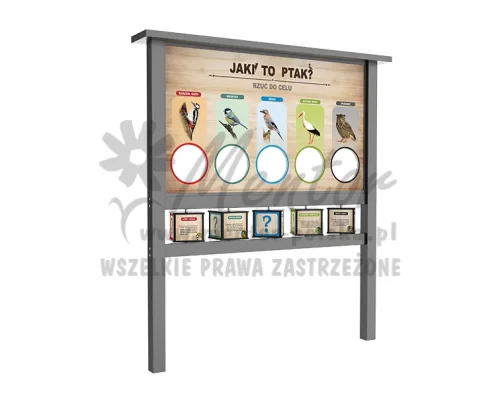PREMIUM | Iactare_kostki