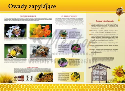PROMOCJA! Tablica edukacyjna - Owady zapylające