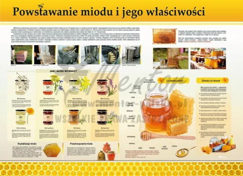 PROMOCJA! Tablica edukacyjna - Powstawanie miodu II