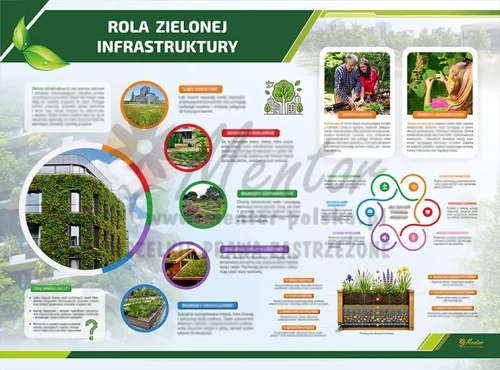 Tablica ekologiczna - Rola zielonej infrastruktury