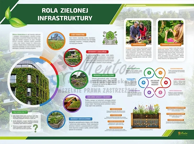 Tablica ekologiczna - Rola zielonej infrastruktury