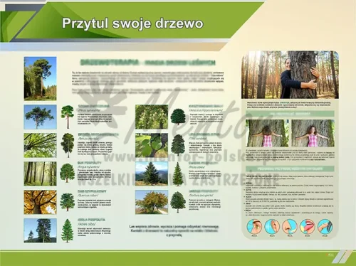 TE1-90 - Przytul swoje drzewo II