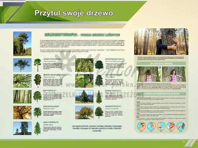 TE1-90 - Przytul swoje drzewo II