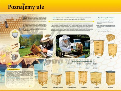 TE7 -32 -Poznajemy ule.jpg