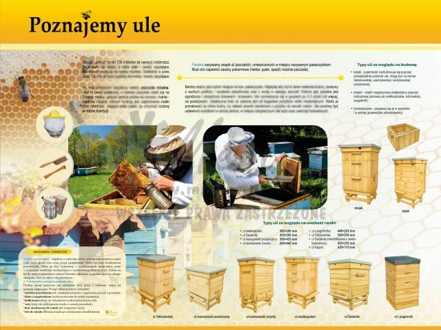 TE7 -32 -Poznajemy ule.jpg