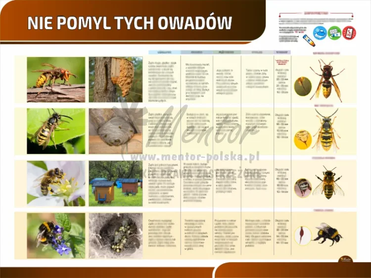 Tablica edukacyjna PREMIUM - Nie pomyl tych owadów