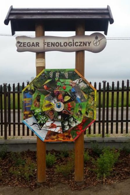 Zegar fenologiczny - wersja z jedną tablicą (REALIZACJA)
