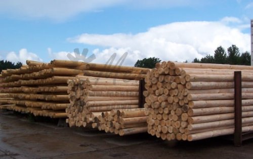 Słupy sosnowe 