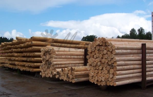 Słupy sosnowe 