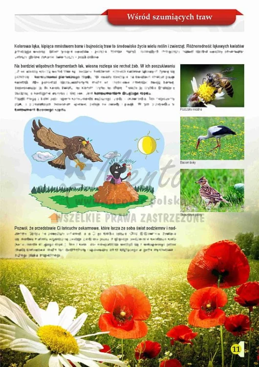 ZESZYT EDUKACYJNY "Kto kogo zjada"