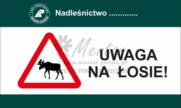 Tablica Uwaga na łosie