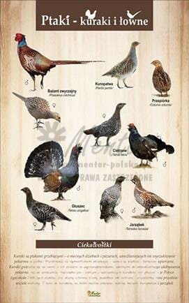 Tablica "Kuraki". bez ramki