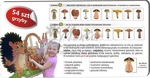 Gra edukacyjna "GRZYBOBRANIE" - wizualizacja poglądowa