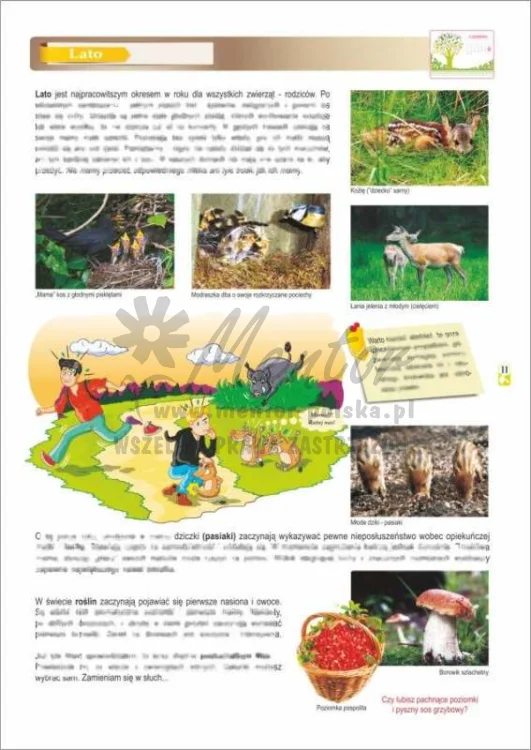 ZESZYT EDUKACYJNY "Lekcja w leśniczówce"