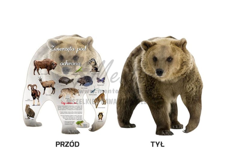 Tablica kształtowa "Zwierzęta pod ochroną"