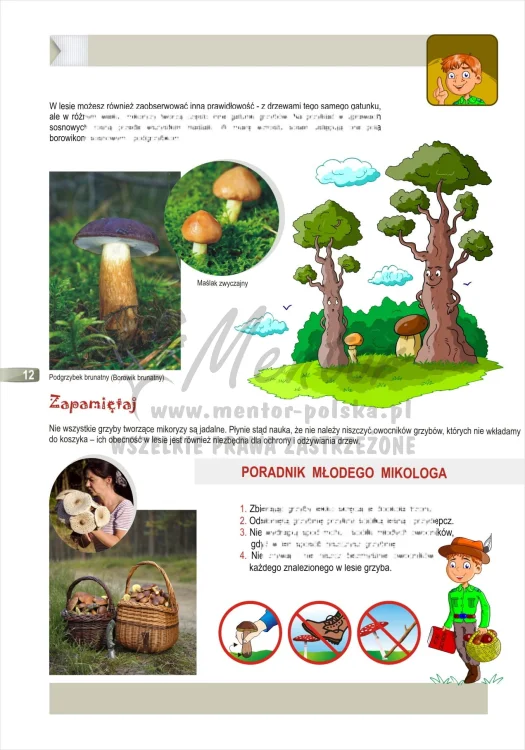 ZESZYT EDUKACYJNY "Królestwo grzybów"