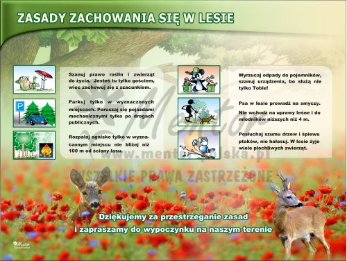 Zasady zachowania się w lesie z25