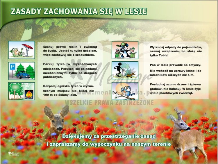 Zasady zachowania się w lesie z25