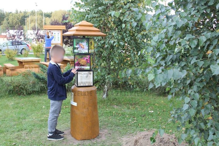 Realizacja w terenie - fotografia poglądowa