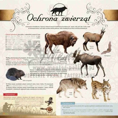 TABLICA EDUKACYJNA OCHRONA ZWIERZĄT.jpg
