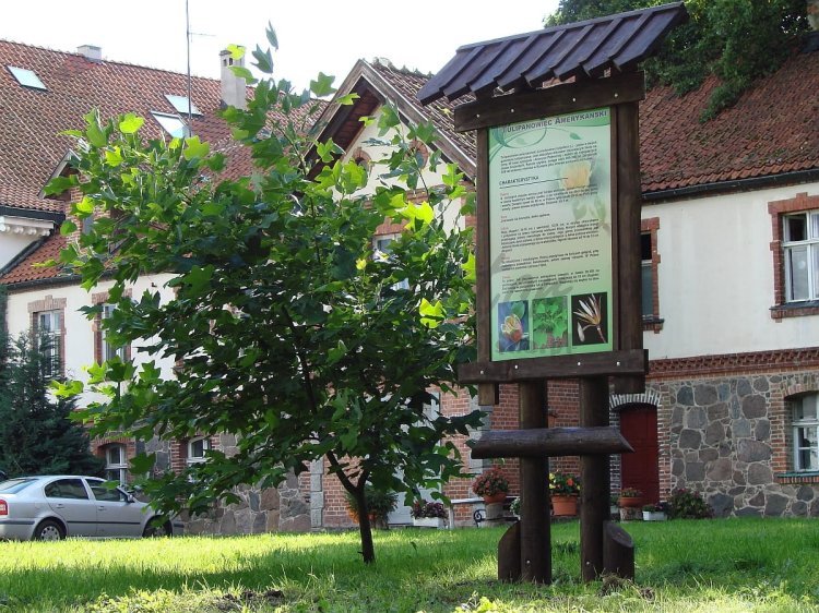 Tablica w układzie pionowym