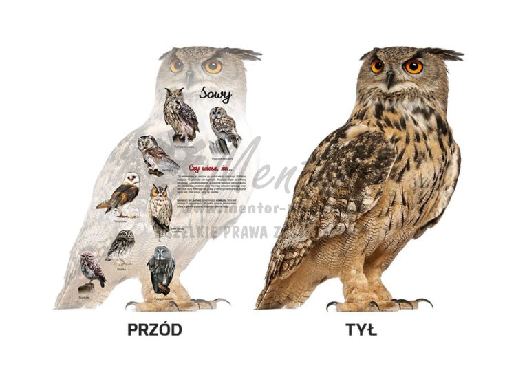 Tablica kształtowa "Sowy"