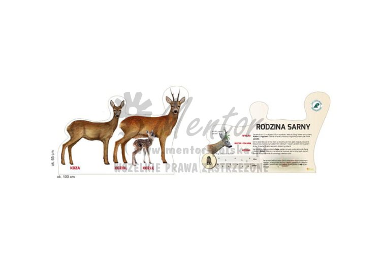 Tablica kształtowa "Rodzina Sarny"