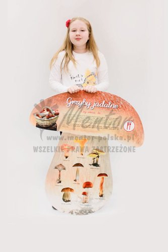 Tablica kształtowa "Grzyby jadalne"