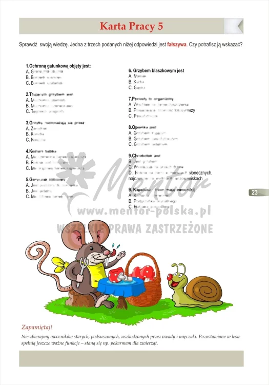 ZESZYT EDUKACYJNY "Królestwo grzybów"