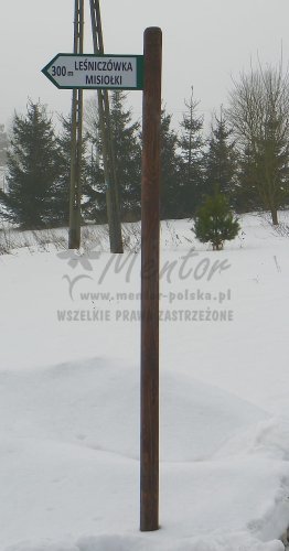 Kierunkowskaz dwustronny frezowany