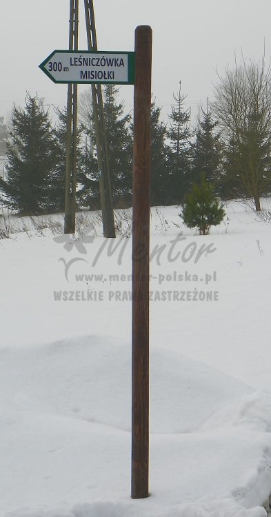 Kierunkowskaz dwustronny frezowany