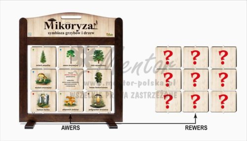GRA MOBILNA (PAMIĘCIÓWKA) - MIKORYZA - SYMBIOZA GRZYBÓW I DRZEW - awers-rewers - wizualizacja poglądowa
