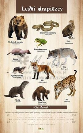 1854492ac0b902dd4eabc22fd2f3a72d (Copy).jpg