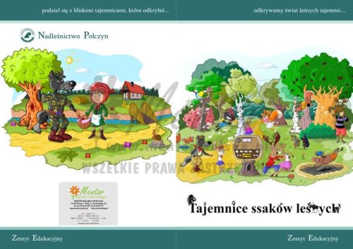 ZESZYT EDUKACYJNY "Tajemnice ssaków leśnych"
