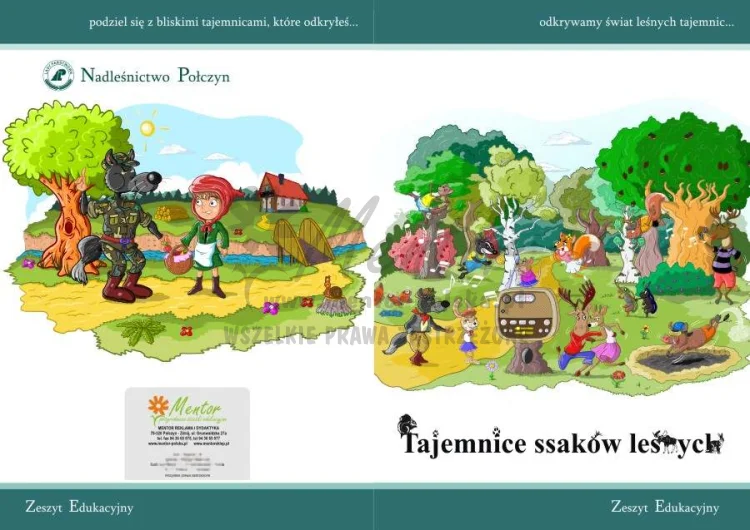 ZESZYT EDUKACYJNY "Tajemnice ssaków leśnych"
