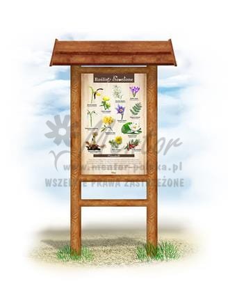 Tablica "Rośliny chronione",  w przykładowym stelażu drewnianym