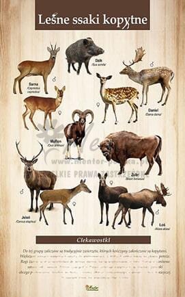 10442464791cde6f29bf9fb686d93dbc (Copy).jpg